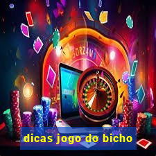 dicas jogo do bicho